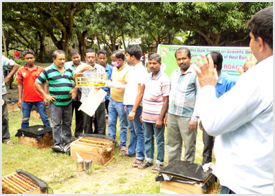 practical training of farmers/beekeeper, bee keeping
