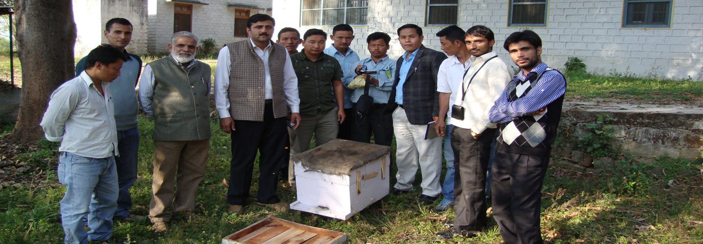 bee keeping India,bee keepig chattisgarh, gujrat, madhya pradesh, bee keeping, bee keeping 
